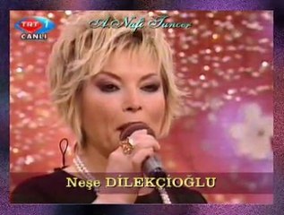 Neşe DİLEKÇİOĞLU-Şu Uzun Gecenin Gecesi Olsam