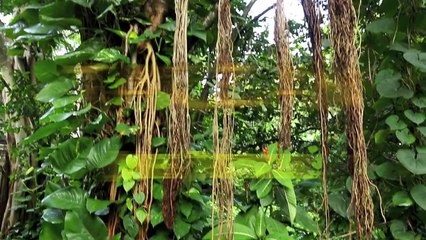 TARZAN Jane Porter Makeup Tutorial