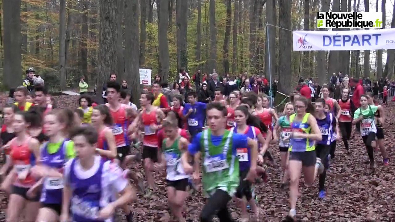 VIDEO. Blois : 50e cross Bian Rosa en quatre départs