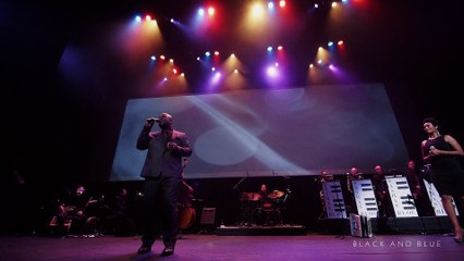 Sasha's Bloc - Black and Blue