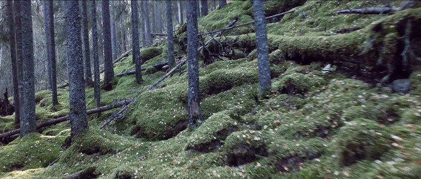 The Tallest Man on Earth - Darkness of the Dream (Official Video)