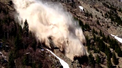 Avant un tremblement de terre, un raton laveur lance l'alerte !!!