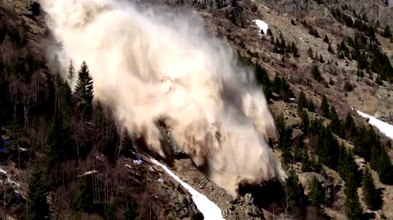 Avant un tremblement de terre, un raton laveur lance l'alerte !!!