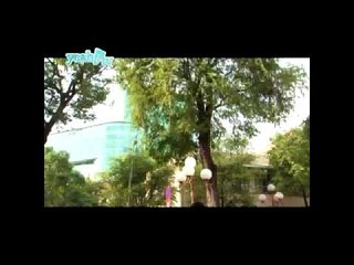 Con gái học võ, con tai học múa - Này bạn, bạn nghĩ sao (Phần 1)