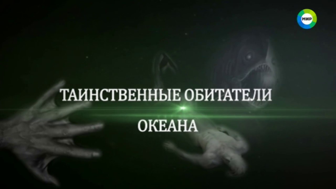 Таинственные обитатели океана 2015