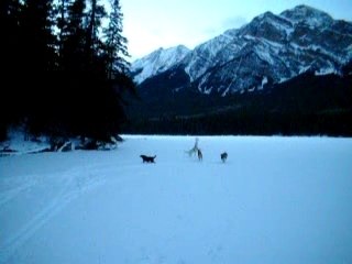 A jasper christmas 114