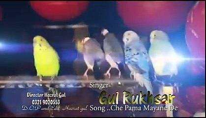 Che Pa Ma Mayane De Za Os Garza Liwane New Pashto Song