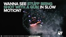Watch these things get shot with a gun in slow motion