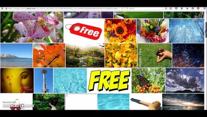 How to get an image url address for your website and blogs