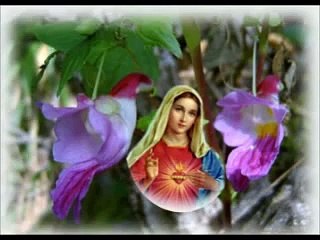 VAILANKANNI MATHA TAMIL SONGS, ROMAN CATHOLIC CHRISTIAN SONG, NON STOP Tamil Hymns to Mary