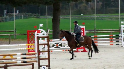 carton plein novembre 2015