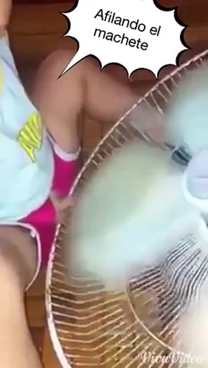 ali ali ali ali ali  zara deko to