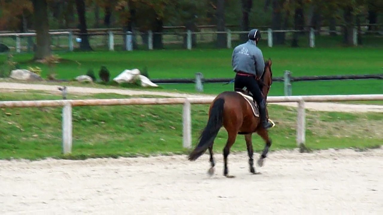 carton plein découverte ambiance concours Nov 2015