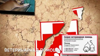 Туймазы, ВетПОМОЩЬ