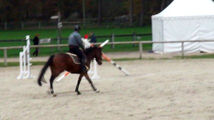 changement de pied nov 2015