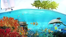 Biodiversidad Seychelles | Global 3000