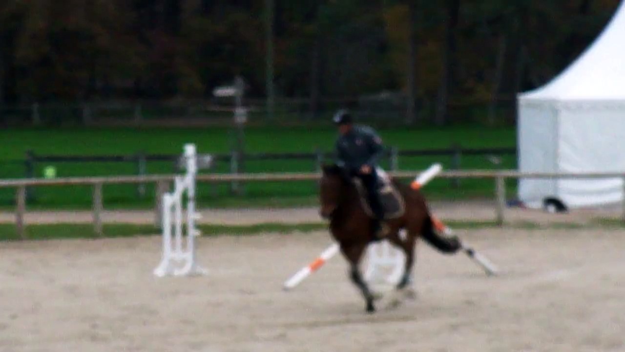 changemt de pied à l'autre main nov 2015