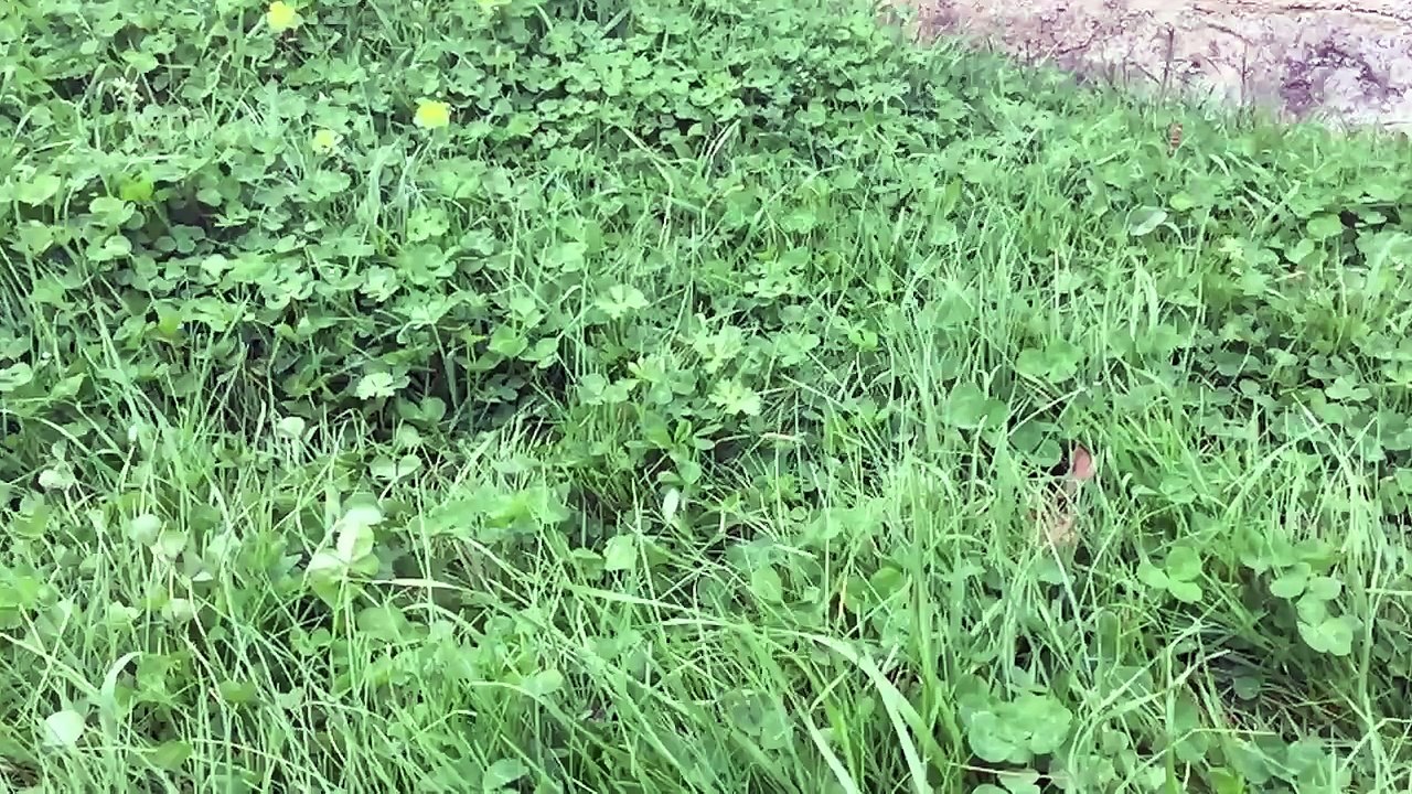 6ft Man in 6ft Giant Water Balloon - 4K - The Slow Mo Guys