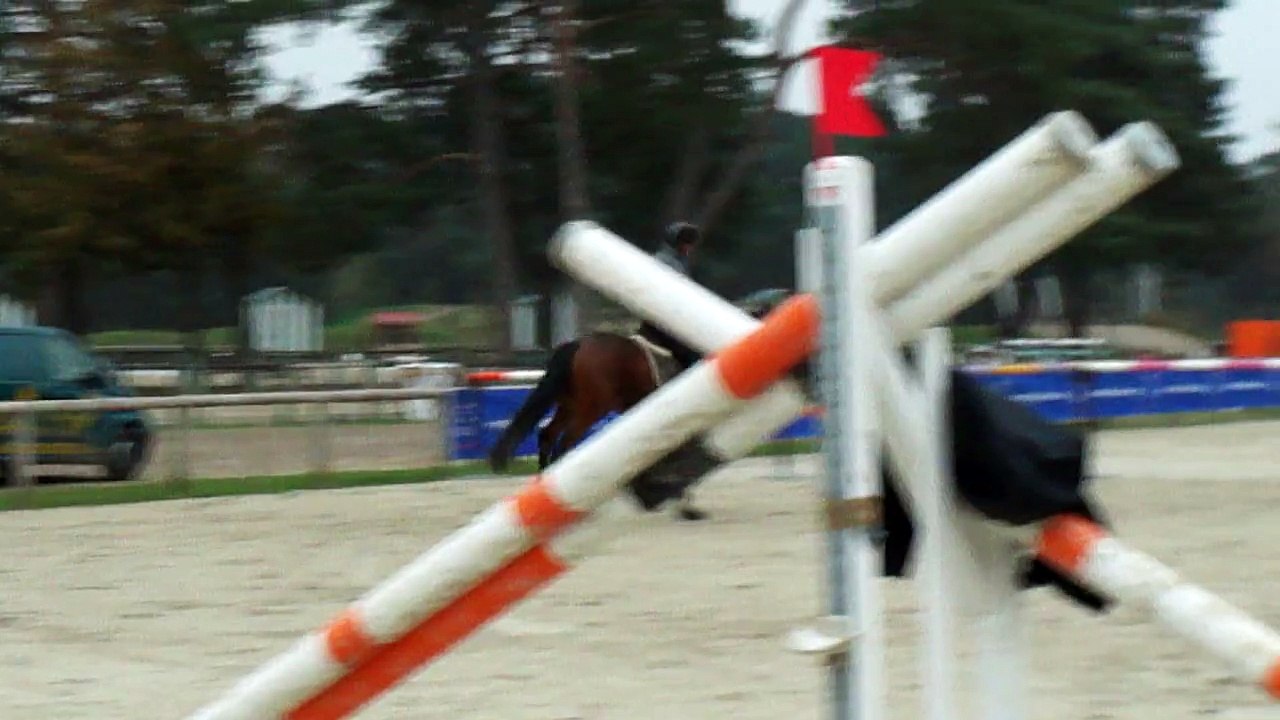 + haut petit carton nov 2015