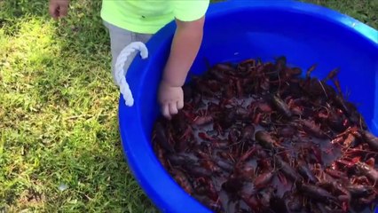 Little Boy Tries To Eat A Live Cancer