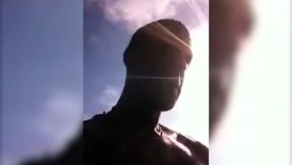 Man Jumps On Tiger Shark  Guy Chooses Dare