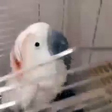 100 раз смотрела, все равно РЖУ