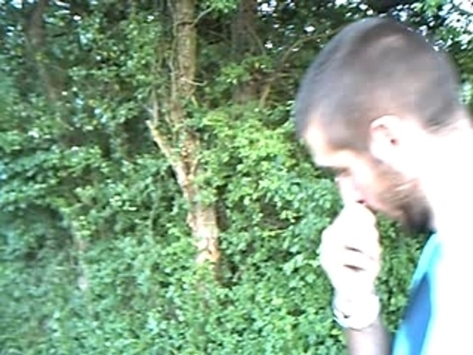 Video de la famille 015