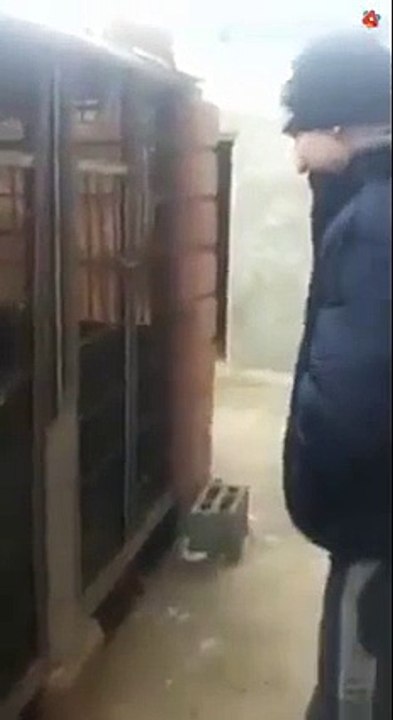 Funny or Die | Funny Videos, Funny Video Clips