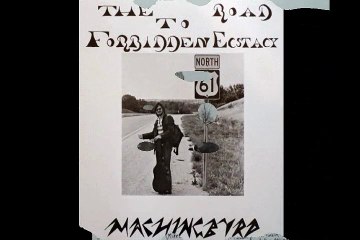 Machingbyrd "Simple Symphony" 1980 US Acid Folk