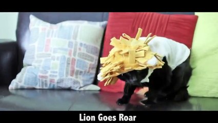 Что сказал кот