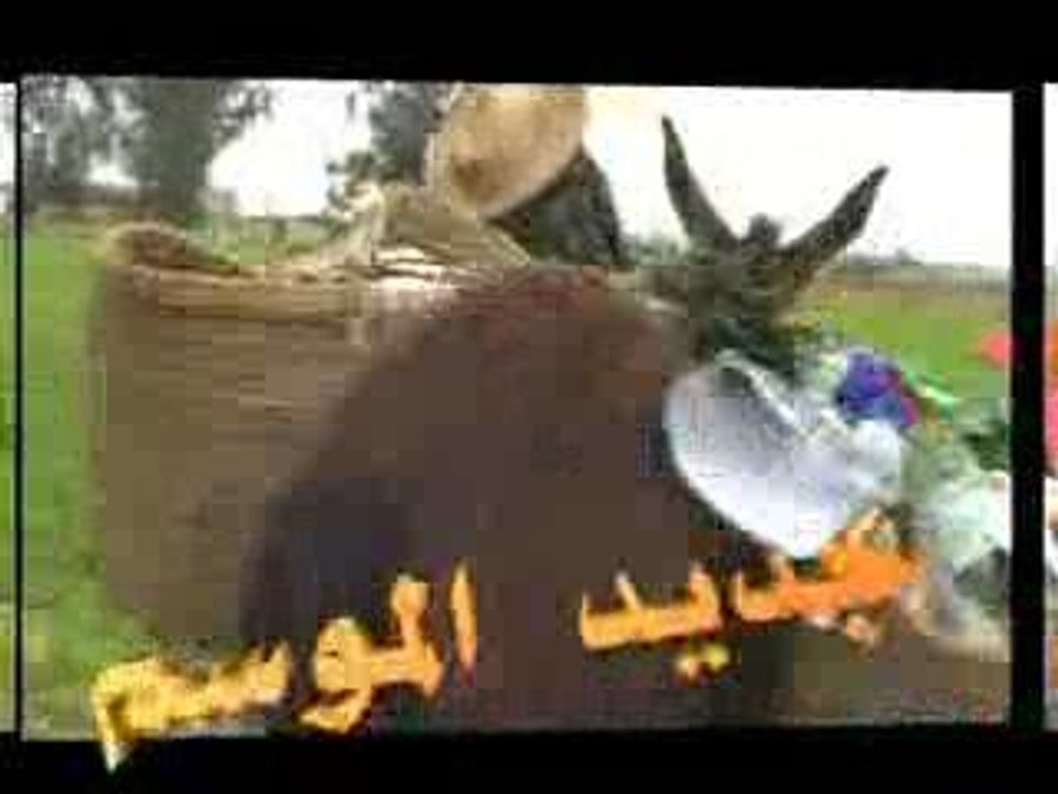 3bidat Rma1