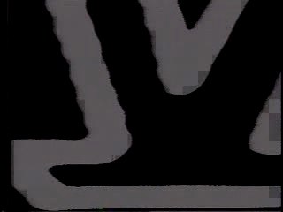 MVF - Campestre - 1991