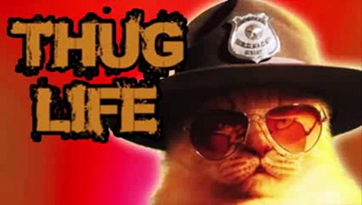 He Didn't HIT The Highway ! Hahaha funny - YouTube