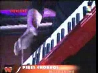 Pibes chorros-en vivo