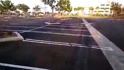 Rescued Baby Bird Returns Excitedly to Worried Parents - YouTube