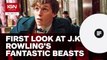 First Photos From Fantastic Beasts and Where to Find Them - IGN News