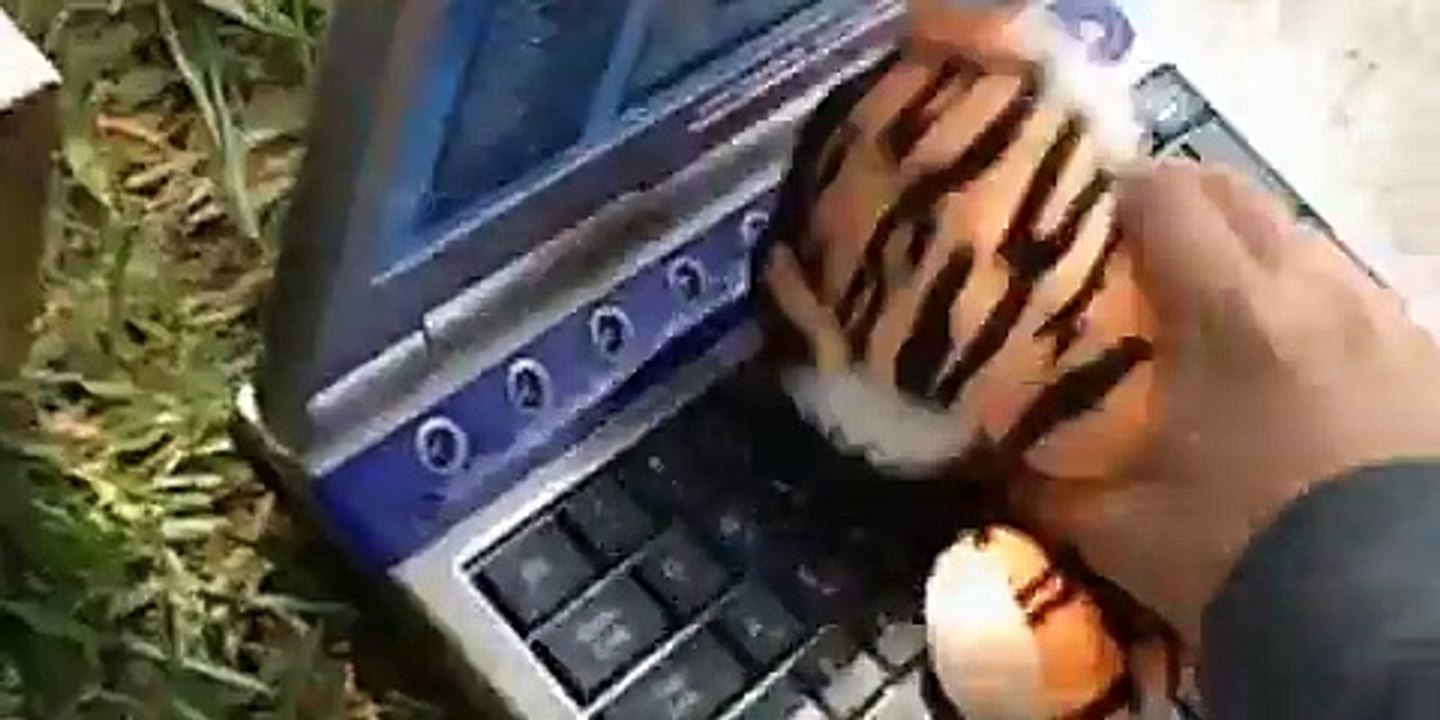 Tony The Ewok Hunter 2