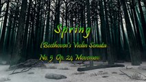 SPRING (Beethovens Violin Sonata No.5 Op.24 Mvt.1) (HD)