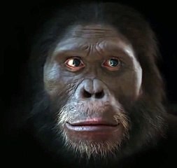 The Evolution of Man s Face Over The Course Of 6 Million Years -Npmake.com