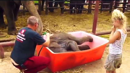 Vidéos drôles uniques rire pisser