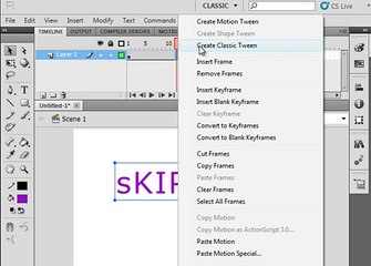 Flash From Scratch Tutorial 21 Your Name Animated