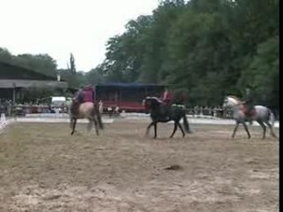 Journées Cheval Baroque Carrousel