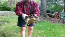 Snapping Turtle Reaches Out and Bites Man -