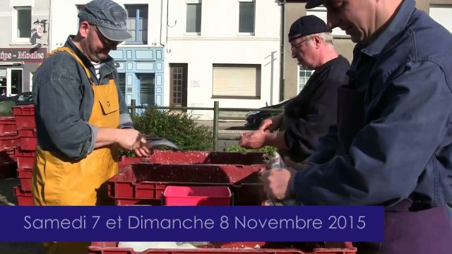 Hareng Roi à Etaples - 7 et 8 novembre 2015