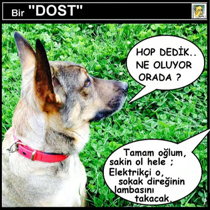 BiR DOST