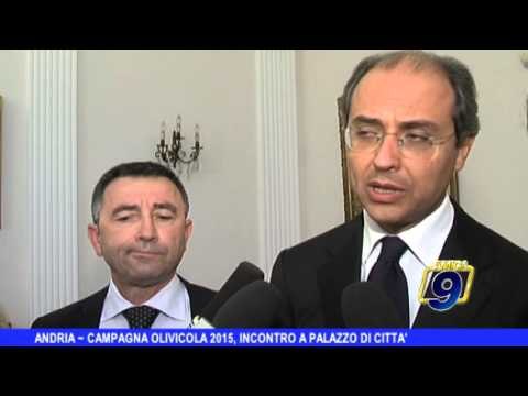 ANDRIA | Campagna olivicola 2015, incontro a Palazzo di Città