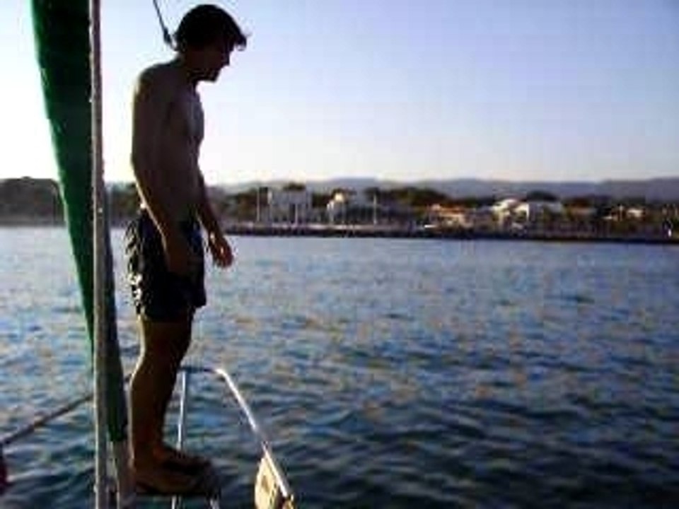 plongeon