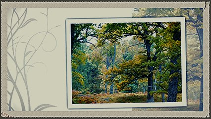 Jelan Dejanovic i NO RTB - Cula jesam moj se dragi zeni