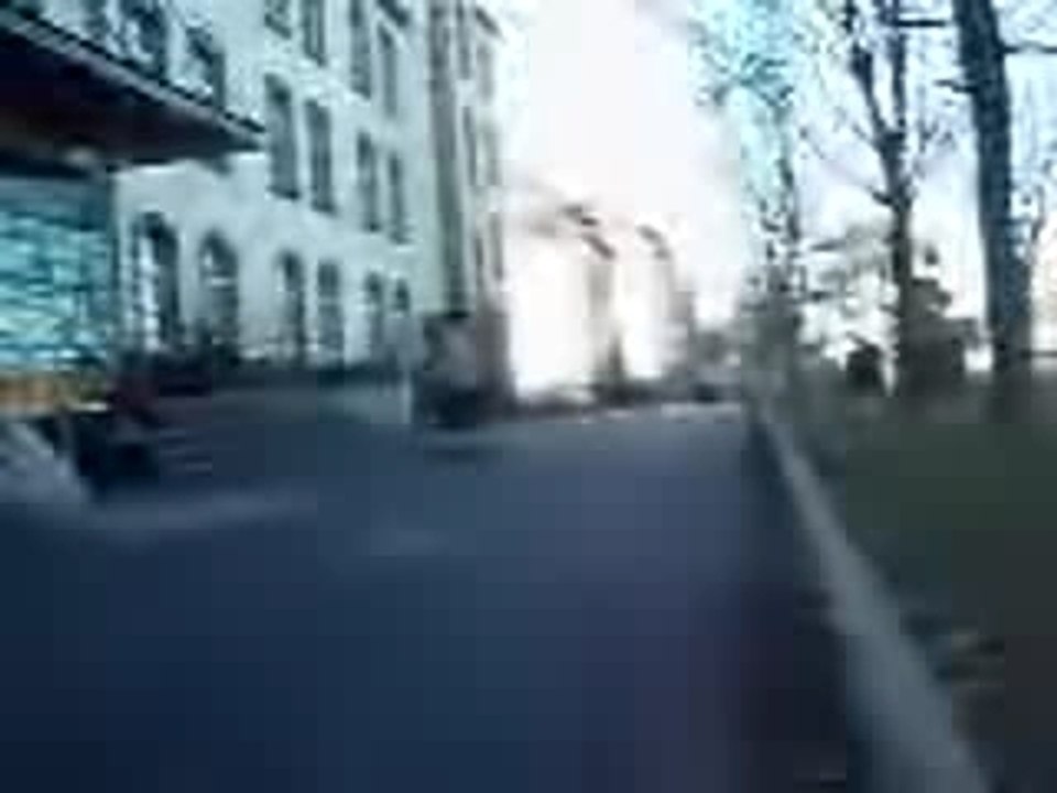 ziz
