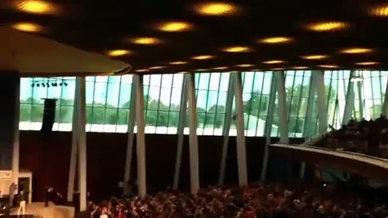 O pássaro voou. Pássaros engraçados que voam ao redor da sala